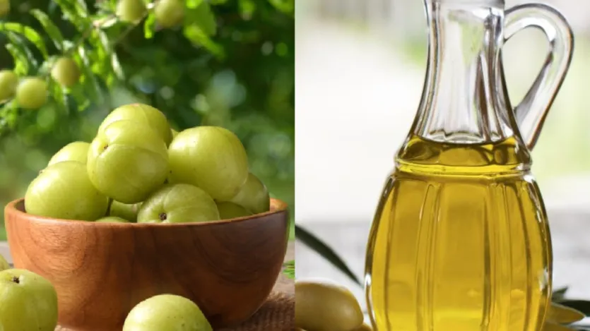A AMLA é rica em vitamina C com antibacteriano e os dois juntos ajudam a prevenir a caspa nos cabelos. Quando você o mistura com azeite, ele acelera a circulação sanguínea no couro cabeludo e ajuda a escurecer os cabelos por dentro. Portanto, se você tiver um problema de cabelo e cabelos brancos, aplique o azeite da Amla. A AMLA é rica em vitamina C com antibacteriano e os dois juntos ajudam a prevenir a caspa nos cabelos. Quando você o mistura com azeite, ele acelera a circulação sanguínea no couro cabeludo e ajuda a escurecer os cabelos por dentro. Portanto, se você tiver um problema de cabelo e cabelos brancos, aplique o azeite da Amla.