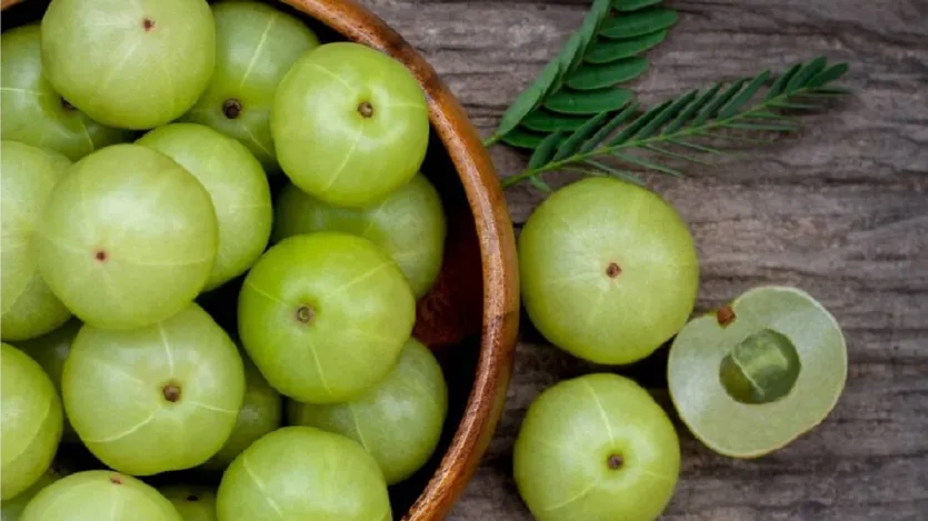 A AMLA é encontrada em muita vitamina C. consumindo, aliviará as úlceras na boca. Consumir o suco de aloe vera e amla com o estômago vazio todas as manhãs se livrará de úlceras na boca.