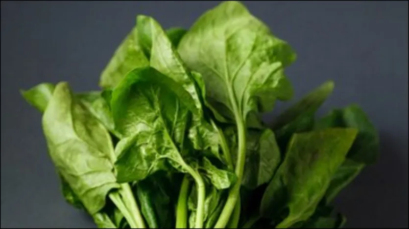 Espinafre e vegetais verdes são considerados excelentes para o fígado. Comer espinafre limpa o fígado e melhora a função. O espinafre contém ferro, vitamina A e vitamina C, o que ajuda a tornar o fígado saudável e forte. Espinafre e vegetais verdes são considerados excelentes para o fígado. Comer espinafre limpa o fígado e melhora a função. O espinafre contém ferro, vitamina A e vitamina C, o que ajuda a tornar o fígado saudável e forte.
