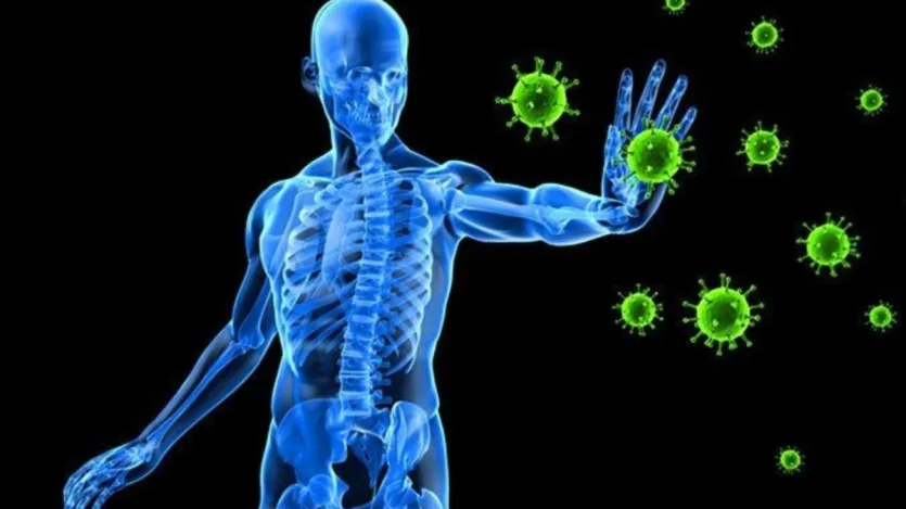 No verão, não apenas o calor, mas o risco de infecção e gripe sazonal também aumenta rapidamente. A curcumina presente no açafrão ajuda a aumentar o sistema de defesa do corpo, enquanto o gengibre combina o estresse oxidativo. Juntos, eles agem como um impulsionador imunológico natural, que ajuda seu corpo a combater infecções. No verão, não apenas o calor, mas o risco de infecção e gripe sazonal também aumenta rapidamente. A curcumina presente no açafrão ajuda a aumentar o sistema de defesa do corpo, enquanto o gengibre combina o estresse oxidativo. Juntos, eles agem como um impulsionador imunológico natural, que ajuda seu corpo a combater infecções.