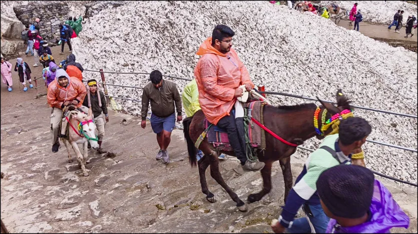 पहली बार केदारनाथ जाने वाले भक्तों को पहले टोकन (रजिस्ट्रेशन कराना) लेना होगा। आपके नंबर के हिसाब से दर्शन करने का समय निर्धारित किया जाएगा। जिसका बाद आप बाबा केदारनाथ के दर्शन कर सकते हैं। पहली बार केदारनाथ जाने वाले भक्तों को पहले टोकन (रजिस्ट्रेशन कराना) लेना होगा। आपके नंबर के हिसाब से दर्शन करने का समय निर्धारित किया जाएगा। जिसका बाद आप बाबा केदारनाथ के दर्शन कर सकते हैं।