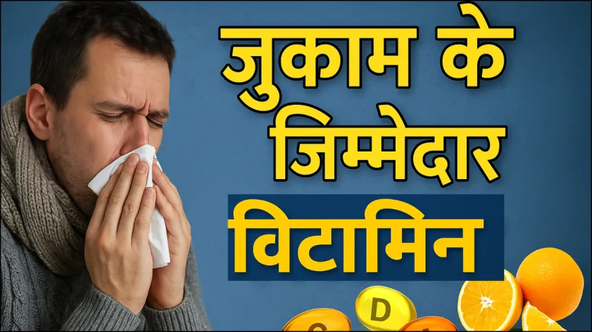 बदलते मौसम में जिन लोगों की रोग प्रतिरोधक क्षमता कमजोर होती है उन पर बीमारियां सबसे पहले अटैक करती हैं। शरीर को मजबूत बनाने के लिए विटामिन सी, डी, ई और विटामिन ए से भरपूर चीजों को डाइट में शामिल करें।
