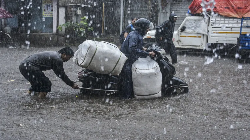 शहर के कई इलाकों में पानी भर गया है जिससे बाढ़ जैसे हालात पैदा हो गए हैं। सड़कें, मोहल्ले और अपार्टमेंट सभी जगह पानी ही पानी नजर आ रहा है। शहर के कई इलाकों में पानी भर गया है जिससे बाढ़ जैसे हालात पैदा हो गए हैं। सड़कें, मोहल्ले और अपार्टमेंट सभी जगह पानी ही पानी नजर आ रहा है।