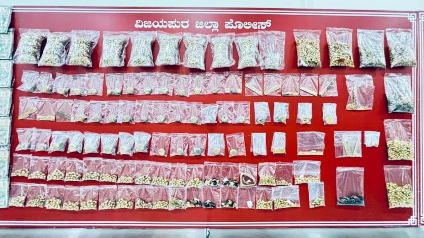 विजयपुरा पुलिस इस मामले में गहन जांच कर रही है और अन्य संदिग्धों की तलाश में छापेमारी कर रही है। इस डकैती ने क्षेत्र में सुरक्षा व्यवस्था पर गंभीर सवाल खड़े किए हैं। पुलिस ने स्थानीय लोगों से भी अपील की है कि वे किसी भी संदिग्ध गतिविधि की जानकारी तुरंत साझा करें। यह मामला कर्नाटक में हाल के वर्षों की सबसे बड़ी बैंक डकैतियों में से एक है।