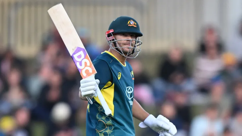 ऑस्ट्रेलिया के डेविड वॉर्नर ने टी20 क्रिकेट के 424 मैचों में कुल 13595 रन बनाए हैं, जिसमें 8 शतक और 113 अर्धशतक शामिल रहे हैं। वह टी20 क्रिकेट में सबसे ज्यादा रन बनाने वाले बल्लेबाजों में पांचवें नंबर पर हैं।