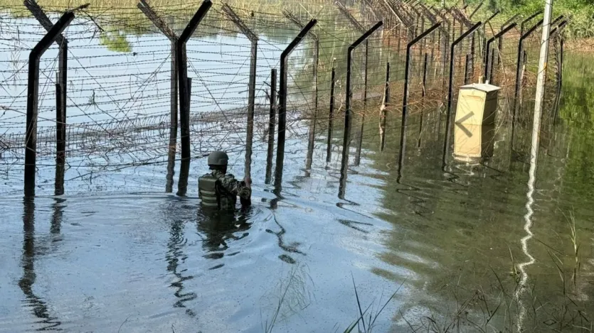 पंजाब में बाढ़ से अब तक 1,84,938 हेक्टेयर फसल का नुकसान हो चुका है। घरों और पशुओं को हुए नुकसान का आकलन जारी है। वहीं बीएसएफ के जवान सीमावर्ती इलाकों में कठिन हालात के बाद भी कड़ी ड्यूटी निभा रहे हैं।