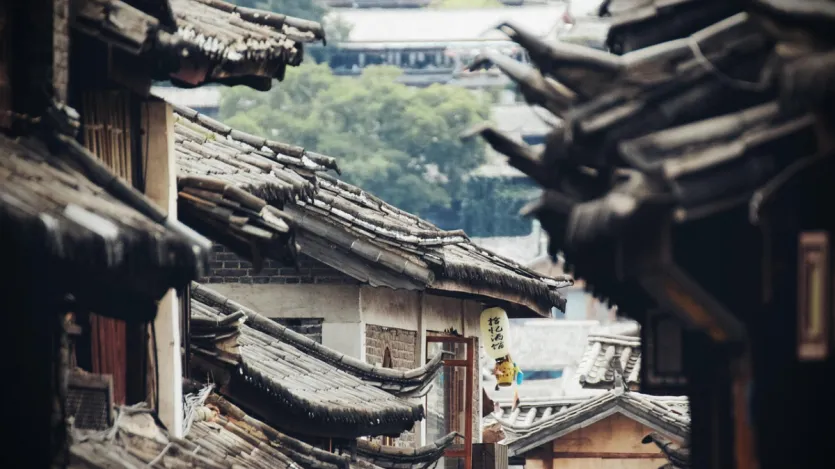 जर्मनी में हर घंटे 108, बांग्लादेश में 105, कांगो लोकतांत्रिक गणराज्य (DR Congo) में 104 और मेक्सिको में 99 लोगों की मौत हो जाती है। 