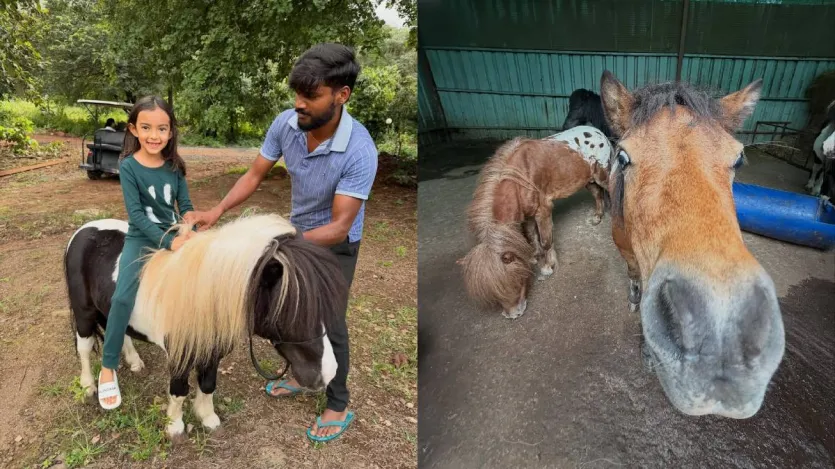 पहली तस्वीर में निर्वाण, अरहान, अर्पिता और आयत के साथ नदी में खड़े होकर पोज़ देते नजर आ रहे हैं। अगली तस्वीरों में वे पानी पार करते हुए पत्थरों पर चलते दिखाई दे रहे हैं। एक दिल को छू लेने वाली तस्वीर में अर्पिता की बेटी आयत एक टट्टू पर बैठी दिखाई दीं, वहीं दूसरी तस्वीर में वह अपने कजिन भाई अरहान के साथ एटीवी की सवारी का आनंद लेती नजर आईं।