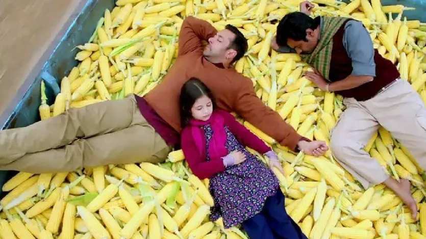 बजरंगी भाईजान: सलमान की खास बात ये है कि जब वो डायरेक्टर के साथ तालमेल बिठाते हैं तो एक जादू होता है और सलमान की फिल्में ऐसे रिकॉर्ड तोड़ती हैं जो अनोखे होते हैं. डायरेक्टर कबीर खान के साथ फिल्म 'बजरंगी भाईजान' में सलमान की एक्टिंग को देखकर लोग सिनेमाघरों में रो पड़े थे। नवाजुद्दीन सिद्दीकी के साथ दमदार कहानी लेकर आई यह फिल्म 600 करोड़ रुपये का कलेक्शन करने में सफल रही थी. आंकड़े बॉक्स ऑफिस इंडिया के मुताबिक. फिल्म को नेटफ्लिक्स पर देखा जा सकता है। (छवि स्रोत-आईएमडीबी)