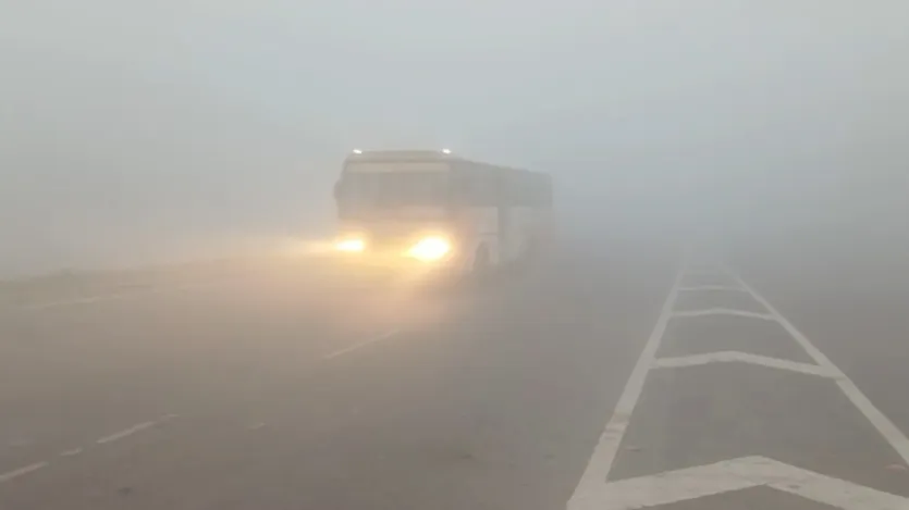 घने कोहरे के कारण विजिबिलिटी कम रहेगी, जिससे सड़क, रेल और हवाई यात्रा में रुकावट आ सकती है। मौसम विभाग के मुताबिक, उत्तर प्रदेश, पंजाब, हरियाणा, चंडीगढ़ और उत्तराखंड के कुछ हिस्सों में घना से बहुत घना कोहरा छाए रहने की उम्मीद है. अरुणाचल प्रदेश, असम और मेघालय, बिहार, हिमाचल प्रदेश, झारखंड, नागालैंड, मणिपुर, मिजोरम, त्रिपुरा और ओडिशा में भी कोहरे वाली स्थिति देखी जा सकती है। 