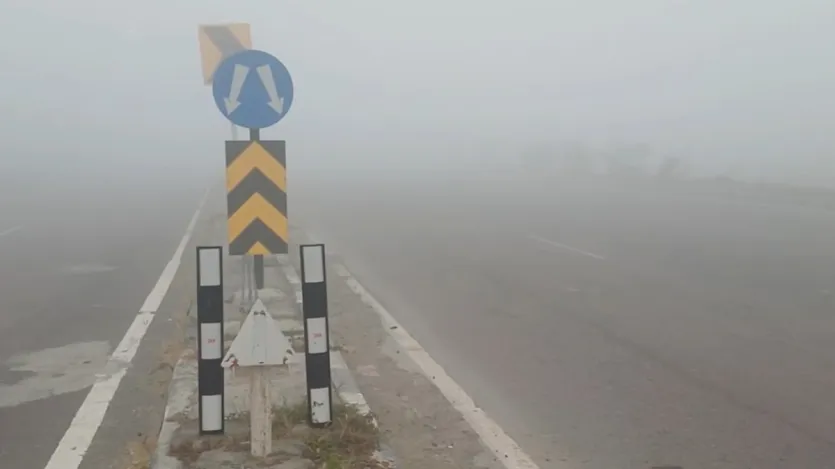 घने कोहरे और कम दृश्यता के बीच, स्पाइसजेट, एयर इंडिया और इंडिगो सहित कई एयरलाइनों ने यात्रा संबंधी सलाह जारी की, जिसमें यात्रियों से अपनी उड़ानों की स्थिति पहले से जांचने का आग्रह किया गया।