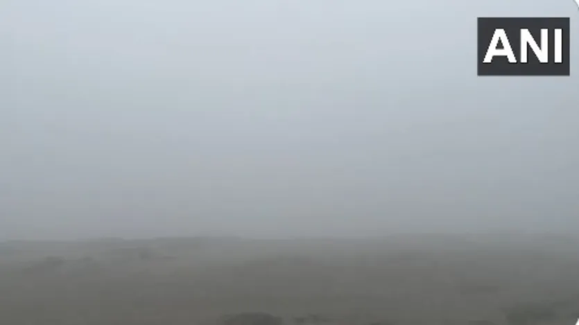  घने कोहरे की वजह से मध्य प्रदेश में ट्रेन सर्विस पर असर पड़ा है और दिल्ली से जाने वाली 15 से ज़्यादा ट्रेनें रोज़ाना 20 मिनट से लेकर पांच घंटे तक लेट चल रही हैं। मौसम विभाग ने घने कोहरे का अलर्ट जारी किया है और आज भी ट्रेनों के लेट होने की उम्मीद है।