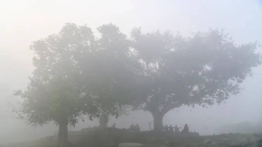कोहरा बूंदों के रूप में बना जलवाष्प का बादल होता है, जो धरती की सतह के बहुत करीब फैला रहता है। हवा में जलवाष्प होता है और जब रात में या सुबह के समय तापमान बहुत कम हो जाता है, तो जमीन के पास की हवा ठंडी हो जाती है और इस ठंडी हवा नमी धारण नहीं कर पाती है। तो ओस बन जाती है। ओस की इन बूंदों में मौजूद अतिरिक्त जलवाष्प गैस से बदलकर छोटी-छोटी तरल पानी की बूंदों में संघनित होने लगती है और यही छोटी बूंदें चारों ओर जमा होकर कोहरे का निर्माण करती हैं।