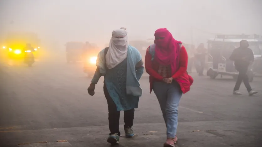 घना कोहरा दृश्यता कम कर देता है जिससे सड़क दुर्घटनाओं का खतरा बहुत बढ़ जाता है, क्योंकि गाड़ी चलाते समय ठीक से दिखाई नहीं देता है। इससे हवाई उड़ानें और रेल यातायात बाधित होते हैं, जिससे यात्रा में देरी या कैंसिलेशन होता है।