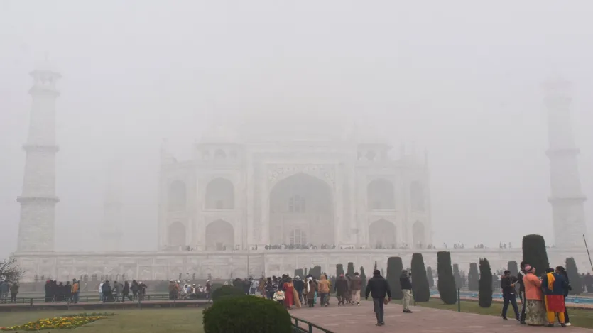 घना कोहरा फसलों को भी नुकसान पहुंचाता है, जिससे फसलें गलने लगती हैं या नष्ट हो जाती हैं। सामान्य कोहरा, जो केवल पानी की बूंदों से बना होता है, स्वास्थ्य के लिए स्मॉग जितना हानिकारक नहीं होता, लेकिन कम दृश्यता हमेशा एक बड़ा खतरा बनी रहती है जिससे लोगों की जान जा सकती है।
