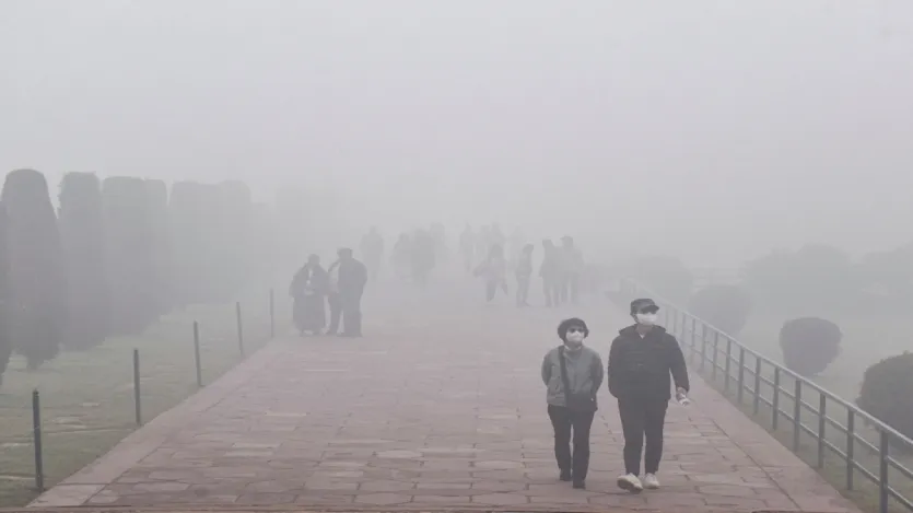 स्मॉग से सांस से जुड़ी समस्याएं बढ़ जाती हैं, खासकर अस्थमा (दमा) और ब्रोंकाइटिस के मरीजों के लिए। लंबे समय तक स्मॉग के संपर्क में रहने से फेफड़े कमजोर हो सकते हैं। यह आँखों में जलन, सूजन और खुजली भी पैदा कर सकता है, साथ ही सर्दी-जुकाम की समस्या भी बढ़ा सकता है। कुछ शोधों के अनुसार, लंबे समय तक प्रदूषण के साथ कोहरे (स्मॉग) के संपर्क में रहने से मस्तिष्क पर भी बुरा असर पड़ सकता है।