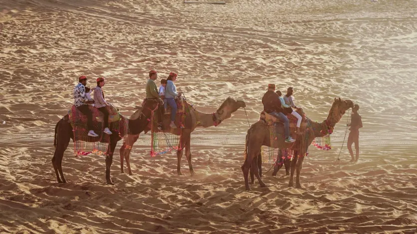 राजस्थान के पुष्कर के रेगिस्तान में पर्यटक ऊंट सफारी का आनंद ले रहे हैं।