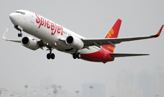 spicejet spicejet- India TV Hindi