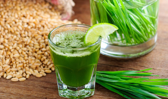 wheat grass wheat grass- India TV Hindi