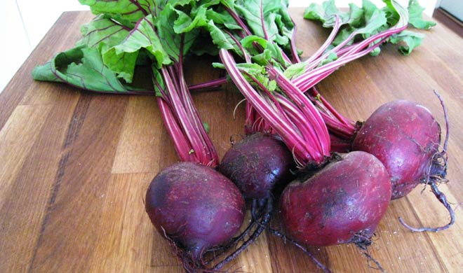 beetroot beetroot- India TV Hindi