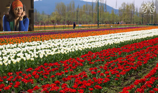 tulip garden tulip garden- India TV Hindi