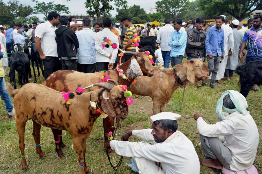 Maharashtra: Public gatherings banned in Bhiwandi, Palghar on Bakrid Maharashtra: Public gatherings banned in Bhiwandi, Palghar on Bakrid- India TV Hindi
