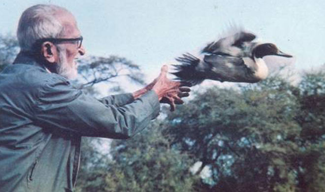 salim ali salim ali- India TV Hindi