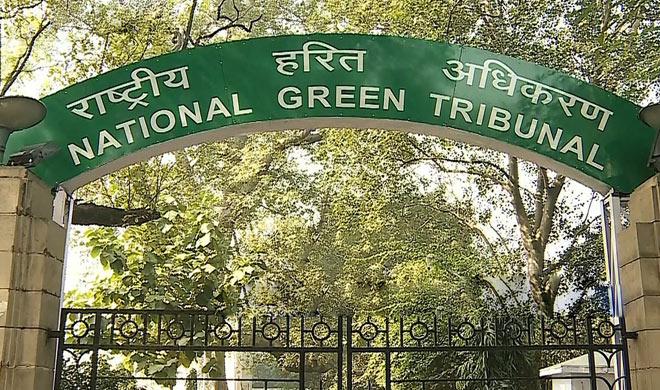 NGT NGT- India TV Hindi