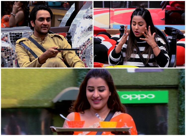 Bigg Boss 11 Bigg Boss 11- India TV Hindi
