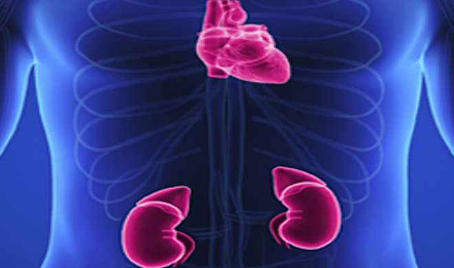 heart and kidney problem heart and kidney problem- India TV Hindi