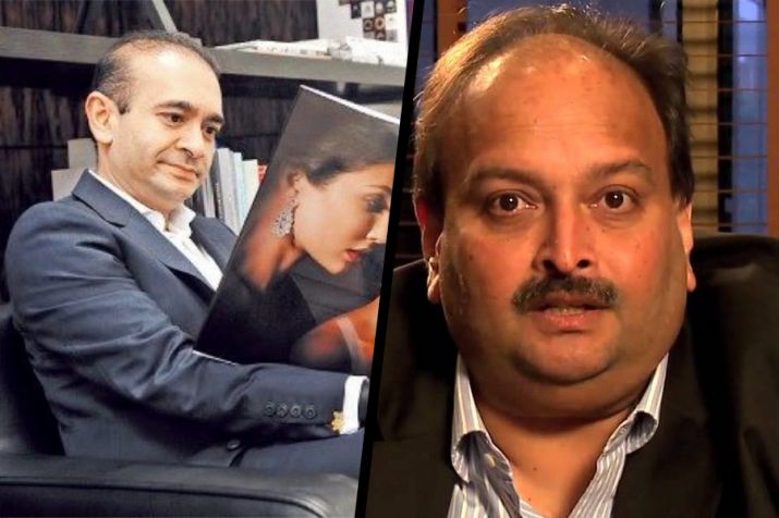Nirav modi mehul choksi Nirav modi mehul choksi- India TV Hindi