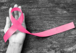 the pink branch the pink branch- India TV Hindi
