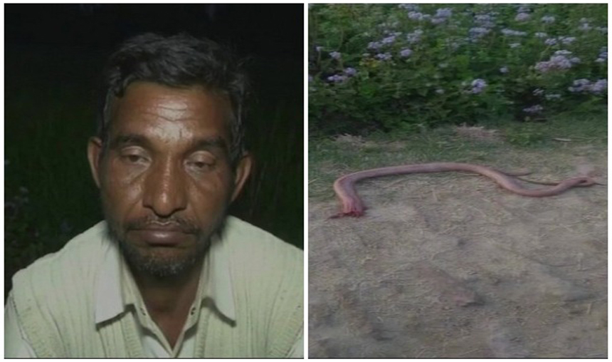 Hardoi-Angry-farmer-bites-off-snake-head-after-reptile-bit-him-on-leg Hardoi-Angry-farmer-bites-off-snake-head-after-reptile-bit-him-on-leg- India TV Hindi