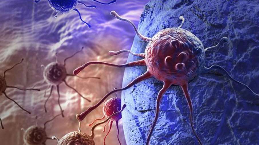 Cancer Cancer- India TV Hindi