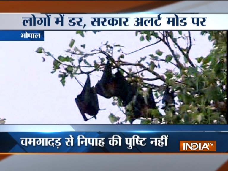 Bhopal Nipah virus Bhopal Nipah virus- India TV Hindi