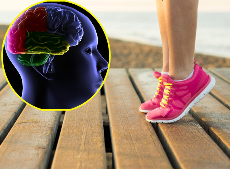 Revealed in the study healthy brain requires foot workout Revealed in the study healthy brain requires foot workout- India TV Hindi