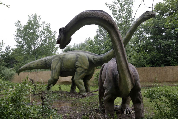 125 million-year-old dandruff reveals how dinosaurs shed skin | AP 125 million-year-old dandruff reveals how dinosaurs shed skin | AP- India TV Hindi