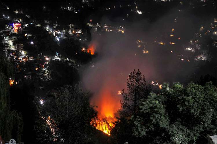 Himachal forest fire Himachal forest fire- India TV Hindi