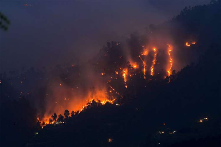 Himachal forest fire Himachal forest fire- India TV Hindi