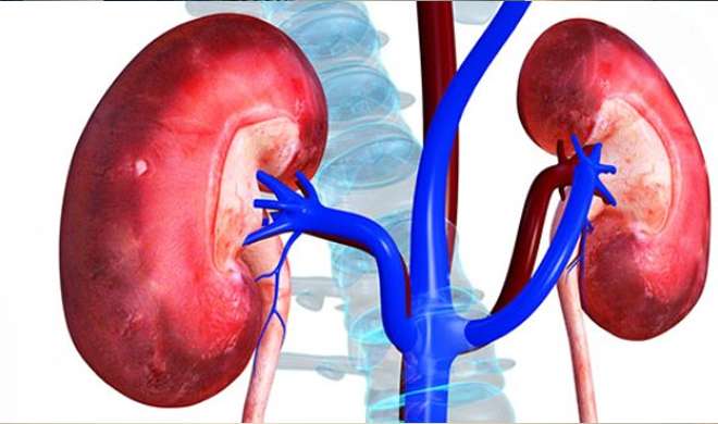 kidney problem kidney problem- India TV Hindi