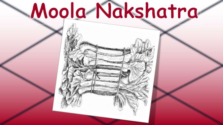 mool nakshatra on 31 may 2018 thursady mool nakshatra on 31 may 2018 thursady - India TV Hindi