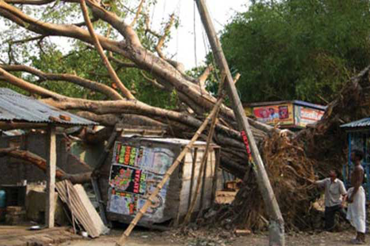 20 killed as lightning, thunderstorms lash Uttar Pradesh, West Bengal and Bihar 20 killed as lightning, thunderstorms lash Uttar Pradesh, West Bengal and Bihar- India TV Hindi