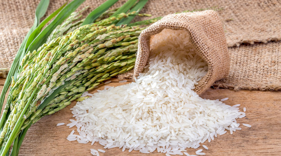India rice export rose 17 percent during April and May India rice export rose 17 percent during April and May - India TV Paisa