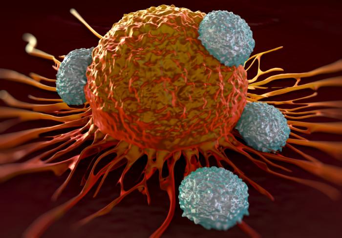 Cancer Cancer- India TV Hindi