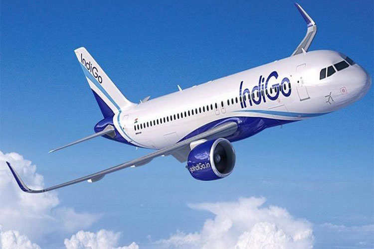 Mid-air collision between two IndiGo aircraft averted over Bengaluru |PTI Representational Mid-air collision between two IndiGo aircraft averted over Bengaluru |PTI Representational- India TV Hindi
