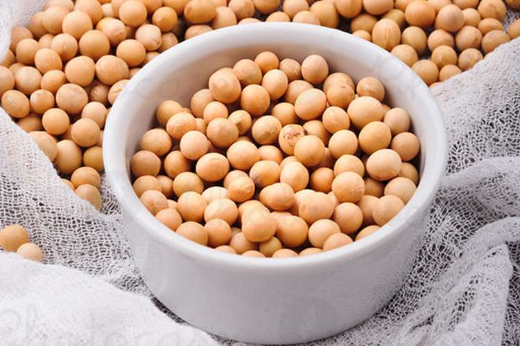 soya bean soya bean- India TV Hindi