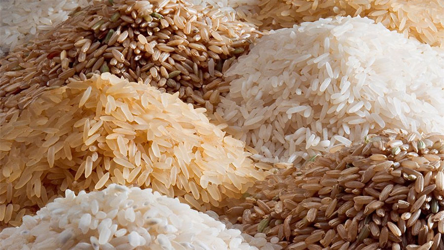 India rice export rose 4 per cent during April June this year India rice export rose 4 per cent during April June this year- India TV Paisa