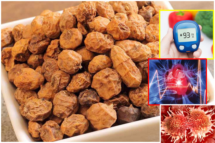 Tiger nut benefit Tiger nut benefit- India TV Hindi
