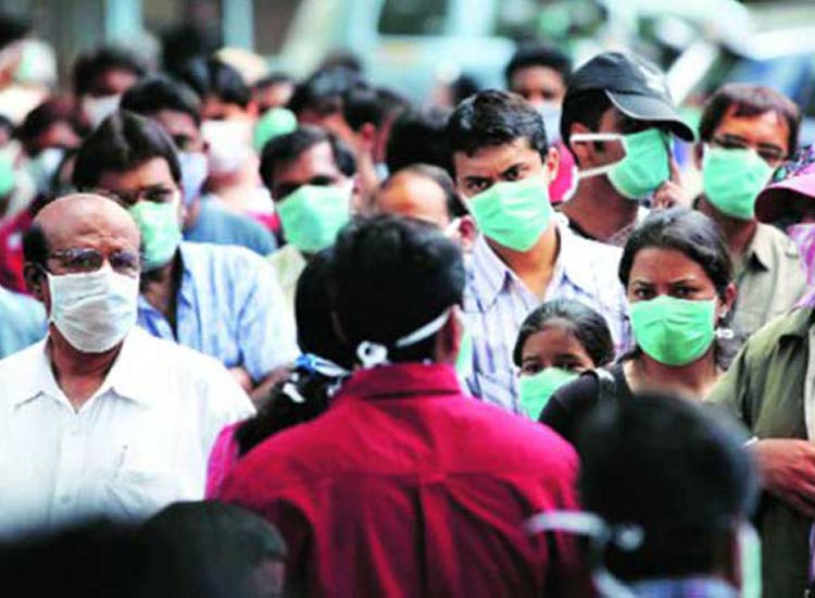स्वाइन फ्लू, तेलंगाना, स्वास्थ्य अलर्ट स्वाइन फ्लू, तेलंगाना, स्वास्थ्य अलर्ट- India TV Hindi