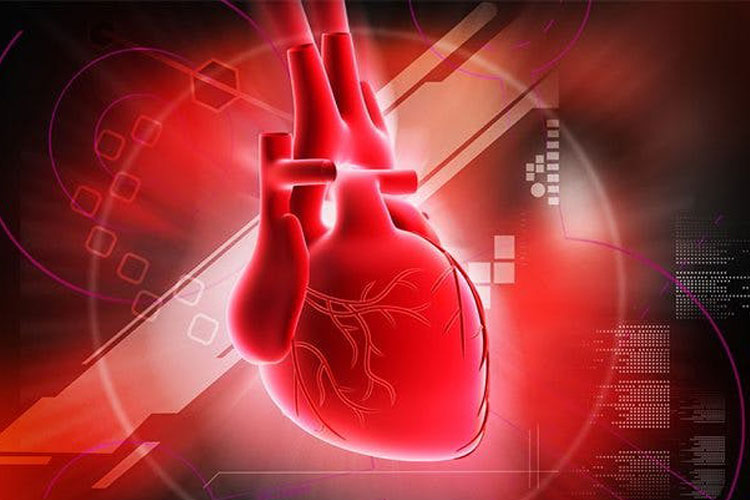 Heart Attack Heart Attack- India TV Hindi